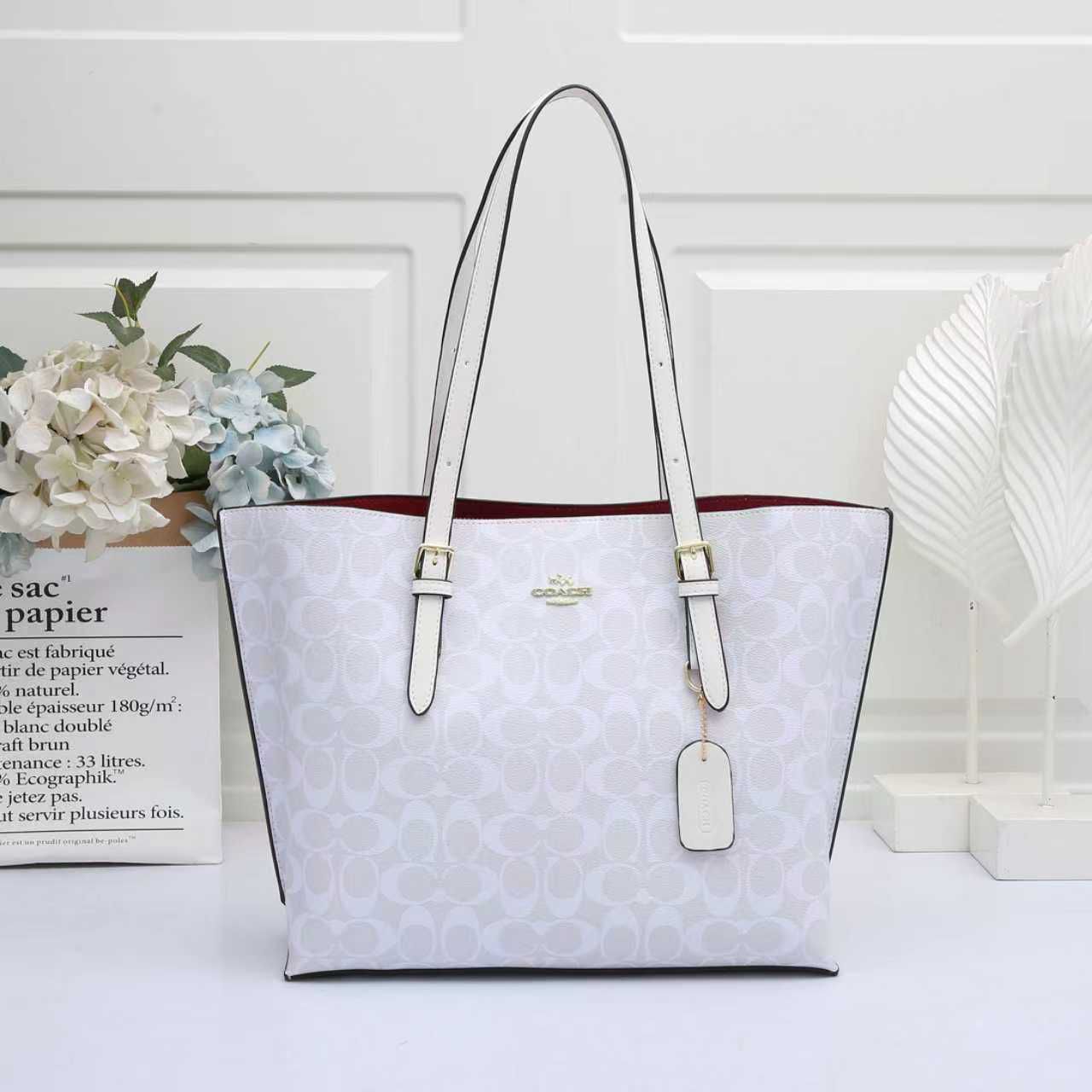 NWT COACH 1665 Mollie Tote Bag In Signature Canvas & Leather CHALK/GLACIER WHITE
